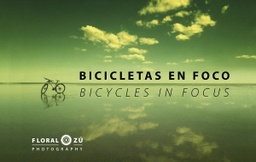 [AU 0046] Bicicletas en foco / Bicycles in Focus - Floral Zu